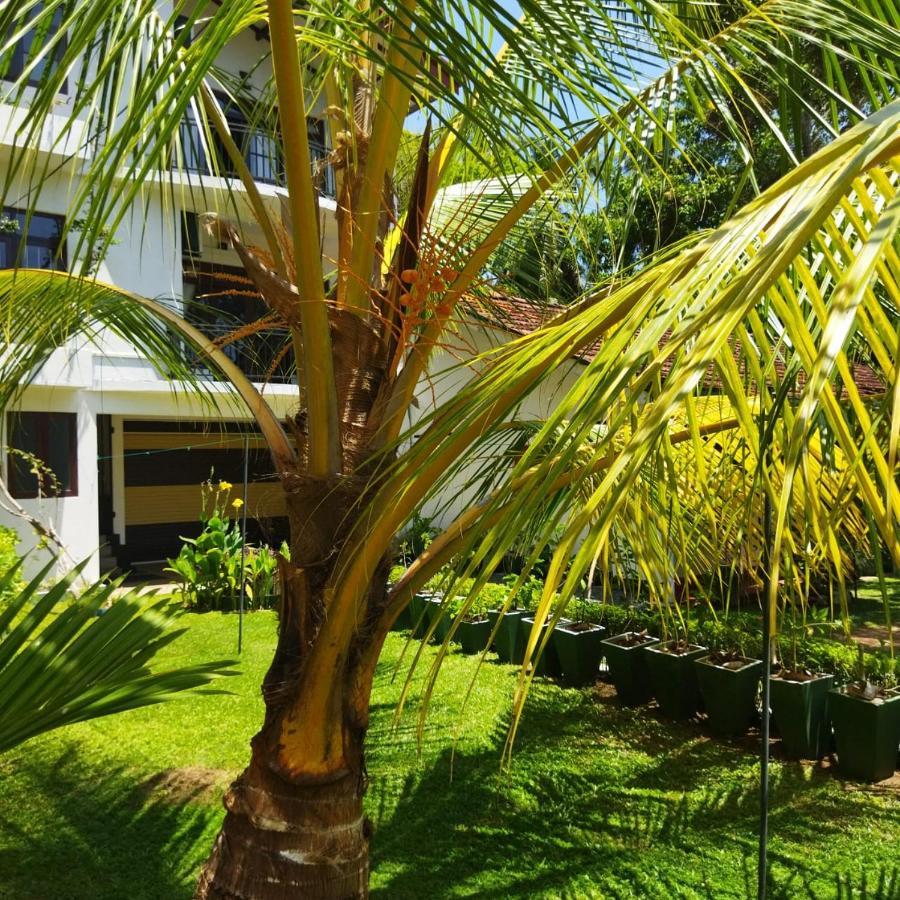 Edelweiss Residence 希克杜沃 外观 照片